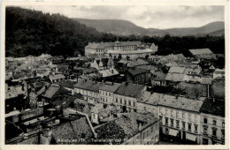 Meiningen, Teilansicht Der Stadt Mit Schloss - Meiningen