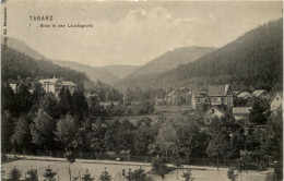 Tabarz/Thür. Wald, Blick In Den Lauchagrund - Tabarz