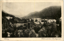 Tabarz, Blick Nach Dem Lauchagrund - Tabarz