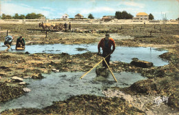 La Plaine Sur Mer * La Tara Sur Mer * La Pêche à La Crevette - La-Plaine-sur-Mer