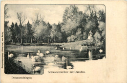Donaueschingen, Schwanenweiher Mit Danubia - Donaueschingen