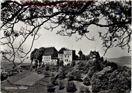 Lenzburg - Schloss - Autres & Non Classés