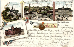 Gruss Aus Sebnitz - Litho - Sebnitz