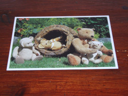 74284-            BEREN / BEARS / BÄREN / OURS / ORSI / TEDDYBEARS - Games & Toys