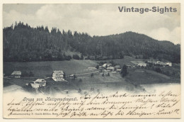 Heiligenschwendi / Switzerland: Total View (Vintage PC 1904) - Heiligenschwendi