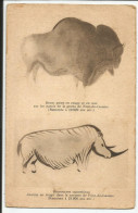 Bison Et Rhinocéros De La Caverne  De Font De Gaume   1910-20    N°  Vierge - Les Eyzies