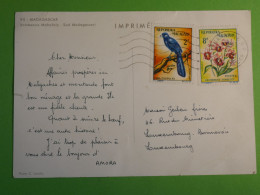 DN1 MAGAGASCAR BELL CARTE AMORA 1965 AU LUXEMBORG  ++AFF. INTERESSANT +++ - Malawi (1964-...)