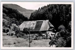 51085802 - - Hochschwarzwald