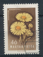1958. Flower (III.) - Misprint - Abarten Und Kuriositäten