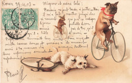 Chiens Humanisés * CPA Illustrateur 1903 * Chien Dog Dogs * Cycle Vélo Ancien Cycles Vélos - Perros