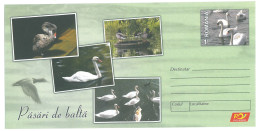 IP 2015 - 14 Black And White SWAN, Wild Gouse, Romania - Stationery - Unused - 2015 - Swans