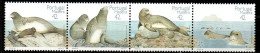 Portugal Madeira 1993 - Mi.Nr. 164 - 167 - Postfrisch MNH - Tiere Animals Robben - Altri & Non Classificati