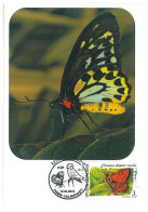 MAX 22 - 1 BUTTERFLY, Romania - Maximum Card - 2010 - Papillons