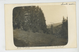 BELGIQUE - NAMUR - PROFONDEVILLE - VALLEE DU BURNOT - La Clairière (carte Photo ) - Profondeville