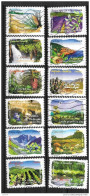 2009 - 31 - 303 à 314 - Flore Des Régions Sud - Usati