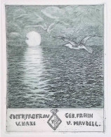 INCISIONE EX LIBRIS EDITH FREI FRAU U. HAKE U. MAUDELL GEB. FREIIN EXLIBRIS SOLE MARE GABBIANO NUVOLE - Ex Libris