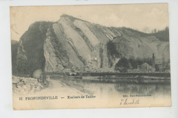 BELGIQUE - NAMUR - PROFONDEVILLE - Rochers De Tailfer - Profondeville