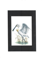 Buzin 4605 Spatule Blanche - 1985-.. Oiseaux (Buzin)