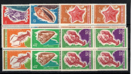 Cote D'Ivoire - YV 312 à 317 N** MNH Luxe Complète En Blocs De 4 , Coquillages - Côte D'Ivoire (1960-...)