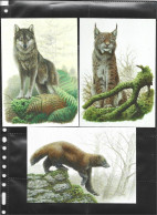 Buzin 4935/9 Loup D' Europe - Lynx - Glouton - Ours Brun - Bison D' Europe - 1985-.. Vogels (Buzin)