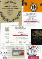 ITALIA ITALY - 10 Etichette Vino Rosso Del FRIULI Vari Vini Friulani - Red Wines