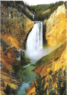 YELLOWSTONE LOWER FALLS, YELLOWSTONE, WYOMING, UNITED STATES. UNUSED  POSTCARD M2 - Yellowstone