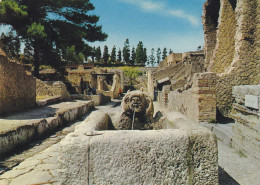 Ercolano(napoli) - Fontana Di Nettuno E V° Cardo - Non Viaggiata - Ercolano