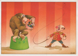 MONKEY Animals Vintage Postcard CPSM #PAN992.GB - Singes