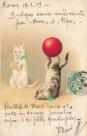 Chats Humanisés * CPA Illustrateur 1903 * Chat Cat Cats Katze * Cirque Circus Numéro Ballon Jonglage - Katten