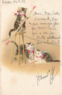 Chats Humanisés * CPA Illustrateur 1903 * Chat Cat Cats Katze * Cirque Circus Numéro équilibriste Fil équilibre - Chats