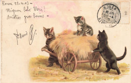 Chats Humanisés * CPA Illustrateur 1903 * Chat Cat Cats Katze * Le Retour Des Champs , La Brouette De Foins - Katzen