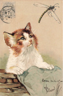 Chats Humanisés * CPA Illustrateur Gaufrée Embossed 1903 * Chat Cat Cats Katze * Libellule Dragonfly - Chats