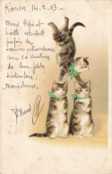 Chats Humanisés * CPA Illustrateur 1903 * Chat Cat Cats Katze * Cirque Circus Numéro équilibriste équilibre - Katten