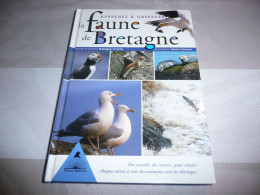 COLLECTIF ILLUSTRATIONS DENIS CLAVREUL APPRENEZ A OBSERVER LA FAUNE DE BRETAGNE TETRAS EDITIONS 2005 - Bretagne