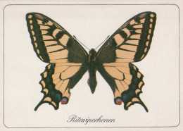 FARFALLA Animale Vintage Cartolina CPSM #PBS455.IT - Butterflies