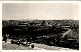 N°975 Z -cpsm Ancient Jerusalem From Jericho Road - Israel