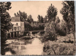 SAINT PALAIS. -  Bords De La Joyeuse Et Vieux Moulin. -  Non écrite. - Saint Palais