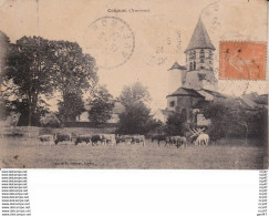 CPA (12) CEIGNAC.  L' église,  Troupeau De Vaches...T602 - Decazeville