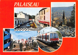 91-PALAISEAU-N°T2173-B/0173 - Palaiseau