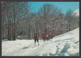 095772/ Ski De Fond Dans Les Pyrénées - Sports D'hiver