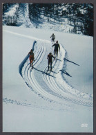 117551/ Ski Nordique - Sports D'hiver