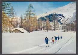 117545/ Pistes De Ski De Fond - Winter Sports