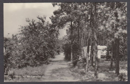 125168/ MILHEEZE, Vakantie-oord *De Peel*, Laantje Op De Camping - Gemert