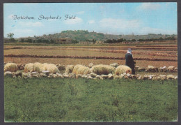 130803/ BETHLEHEM, Shepherd's Fiels - Palestine