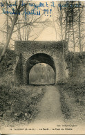 CPA - TAVERNY - LA FORET - LE PONT DU DIABLE - Taverny