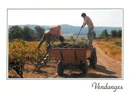 Vignes - Scènes De Vendanges - CPM - Carte Neuve - Voir Scans Recto-Verso - Vignes