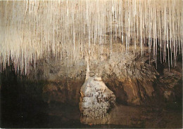 38 - Pont En Royans - Grottes De Choranche - Galerie Du Siphon - Spéléologie - Curiosité Géologique - Carte Neuve - CPM  - Pont-en-Royans