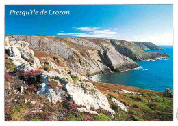 29 - Presqu'ile De Crozon - Les Falaises Couvertes De Bruyère De La Pointe De Kerroum - Voir Scans Recto Verso  - Crozon