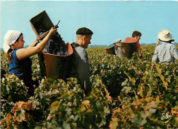 Vignes - Scènes De Vendanges - CPM - Voir Scans Recto-Verso - Vignes