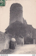 D72  BEAUMONT SUR SARTHE  Tour Du Vieux Château - Beaumont Sur Sarthe